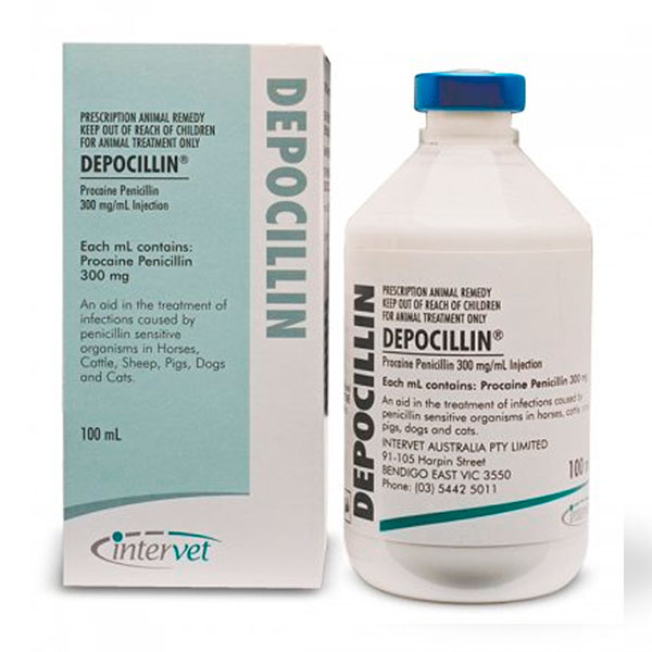 DEPOCILLIN 100ML