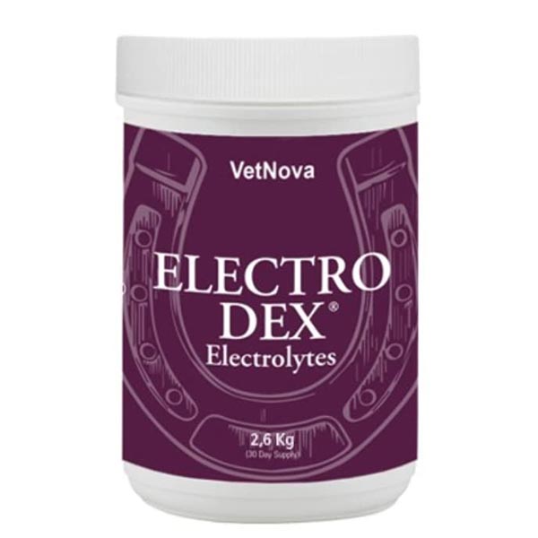ELECTRO DEX 2,6 kg - Sales Solubles