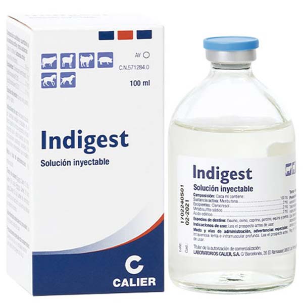INDIGEST INYECTABLE 100 ML