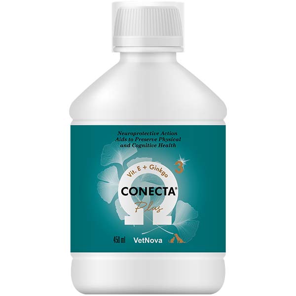 CONECTA PLUS 450ml