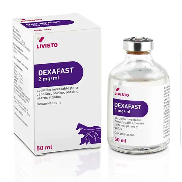 DEXAFAST 2 mg/ml 50ML