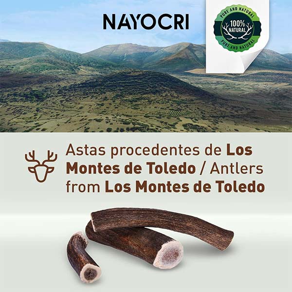 ASTA DE CIERVO 65,4gr talla S - 60 unidades