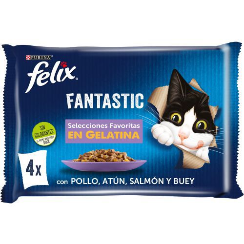 FELIX FANTASTIC Selección Favoritas 12(4x85g)