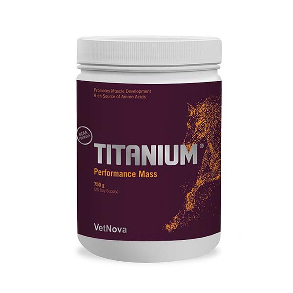 TITANIUM Performance Mass 750 g - Molido