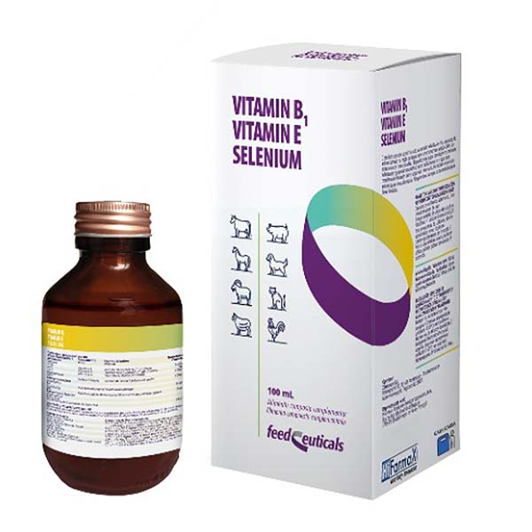 HIFARMAX VITAMIN B1, VITAMIN E, SELENIUM 100ml