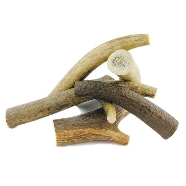 ASTAS DE CIERVO (1- XS)