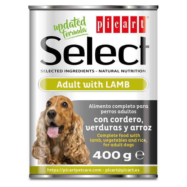 WET SELECT ADULT Cordero 24x400GR