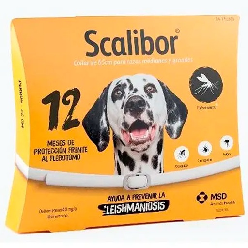 [178993] SCALIBOR 65CM