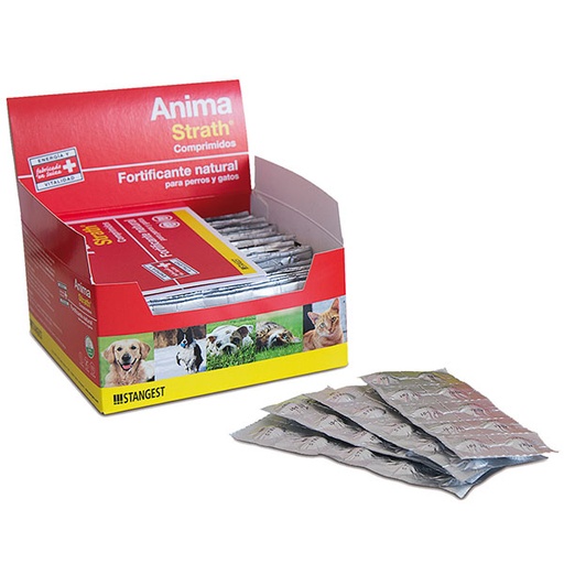 [ST160133] ANIMA-STRATH 360 comp