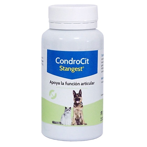 [ST160216] CONDROCIT STANVET - 60 comp