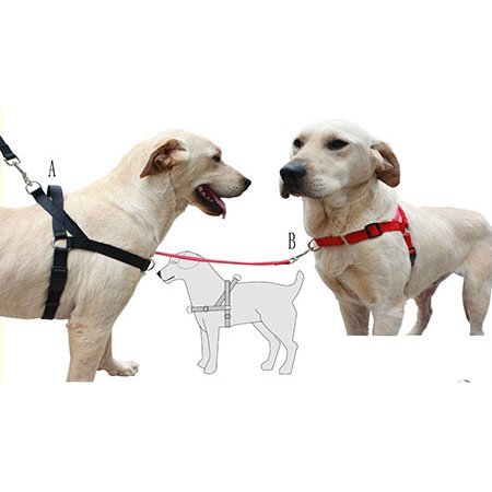 [01247840] ARNES LATERAL XS 32-39 y 29-34cm