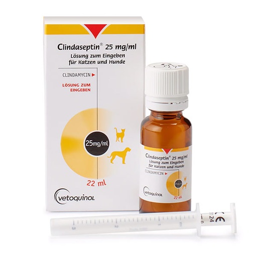 [432962] CLINDASEPTIN SOL. 22ML