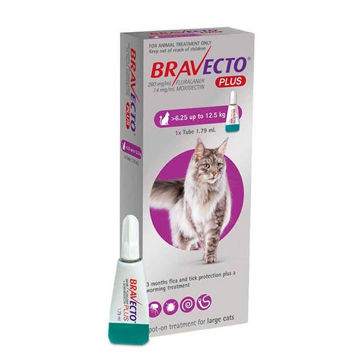 [188491] BRAVECTO PLUS CAT 500MG 6.5-12 KG