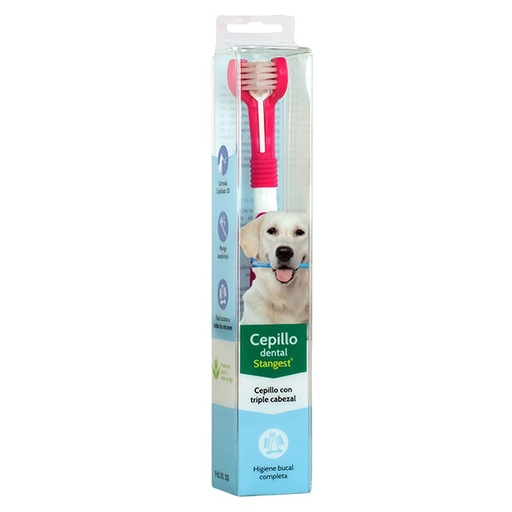 [ST150117] CEPILLO DENTAL EN ESTUCHE
