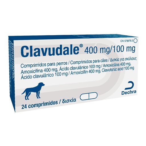 [D032243] CLAVUDALE 400/100mg 24 COMP
