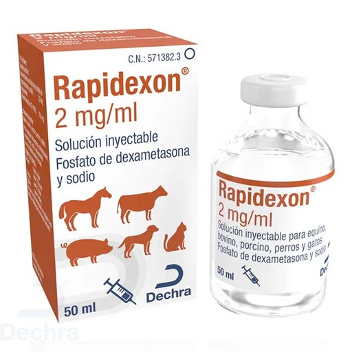 [D034714] RAPIDEXON 2 mg/ml 50ML
