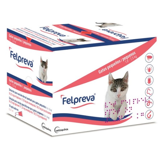[463693] FELPREVA Gatos pequeños 1-2.5kg (10pip)
