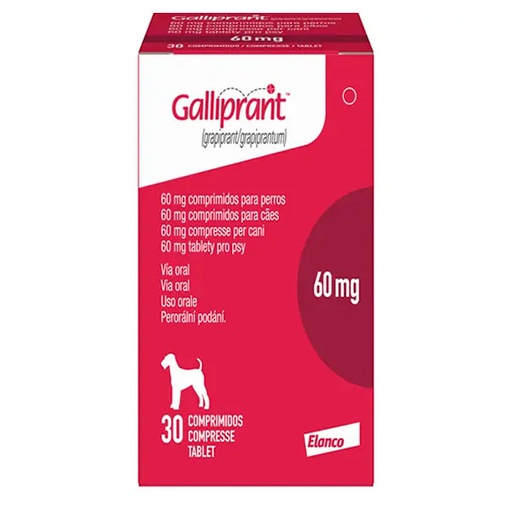 [CA5811030AO] GALLIPRANT 60 MG 30 TABLETAS 13.6-34 Kg