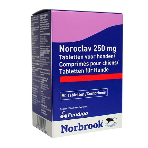 [KZ100052] NOROCLAV 250mg 50comp.