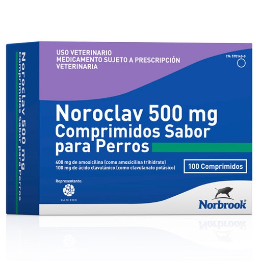 [KZ100058] NOROCLAV 500mg 100comp.
