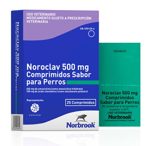 [KZ100067] NOROCLAV 500mg 25comp.