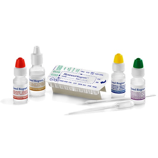 [VN180025] Speed Biogram 5 tests