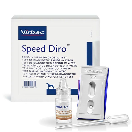 [VN180026] Speed Diro 6 tests