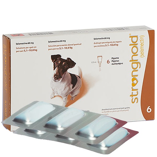 [PF08830991] STRONGHOLD 60MG 5-10kg 6PIP