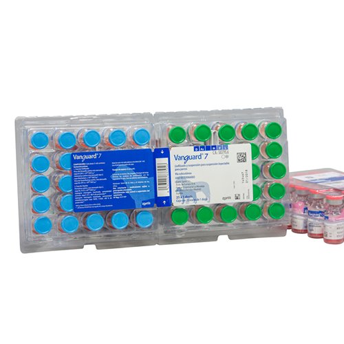 [PF0826216] VANGUARD-7 25 DOSIS