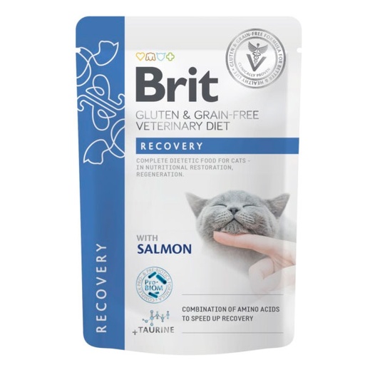 [BRD104101116] WET BD CAT Recovery 12x85g