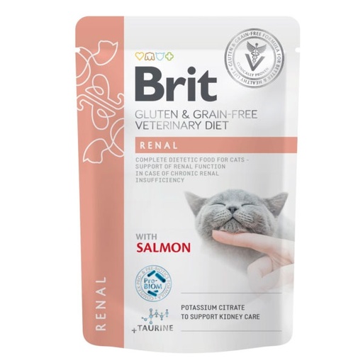 [BRD104101113] WET BD CAT Renal 12x85g