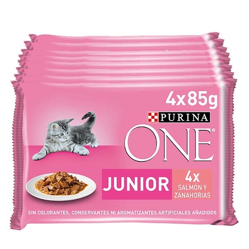 [12499586] Wet ONE CAT Junior 12x(4x85g)
