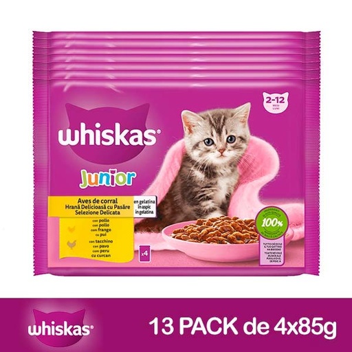 [607799] WHISKAS PURE Junior Aves Gelatina 13x4x85gr
