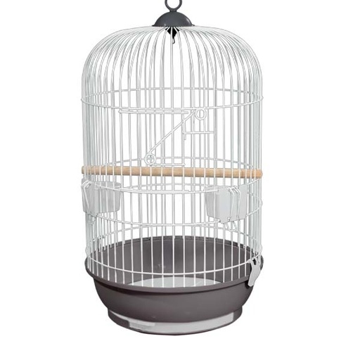 [1801C] JAULA LORO 801 PLATA