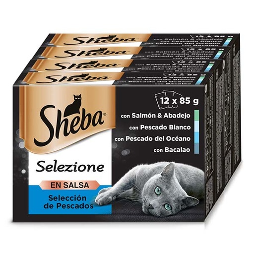 [426991] SHEBA 12PACK SELEZIONE SALSA PESCADO 4x(12x85gr)