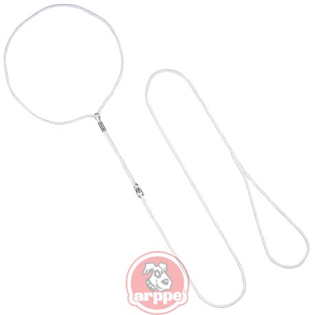 [2283010010] COLLAR CORREA NYLON EXPOSICION BLC