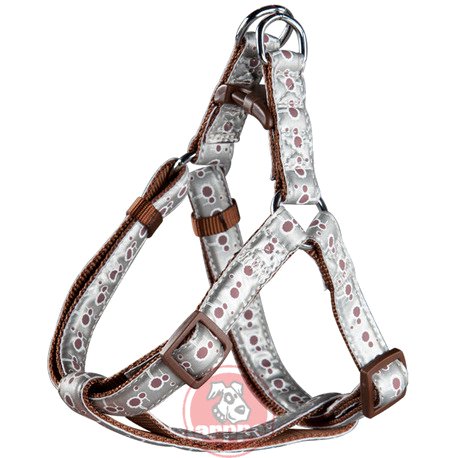 [4140011904] ARNES BURBUJAS MRR
