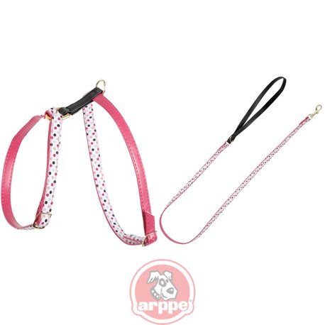 [196061020023] PETRAL + CORREA COCO FUC