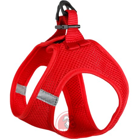 [195770020001] ARNES ZZIP RJ
