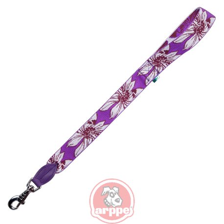 [4225010611] CORREA NYLON HAWAI MDO