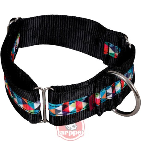 [196174040559] COLLAR NYLON EDUCATIVO KALEIDO