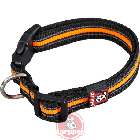 [195692025141] COLLAR NYLON ANTIDESLIZANTE BONDI NG/NJA