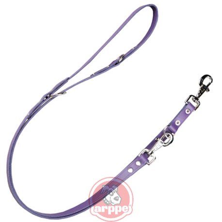 [218701819011] CORREA MULTIP. CUERO DIVERSION MDO