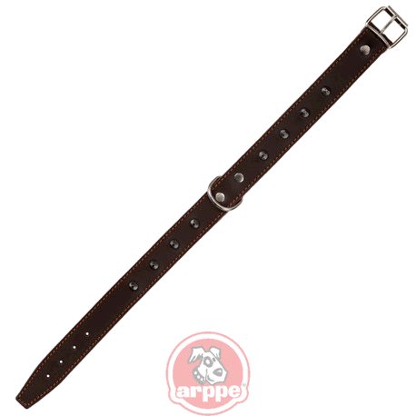 [2125015504] COLLAR FORNI. CUERO CROMO MRR