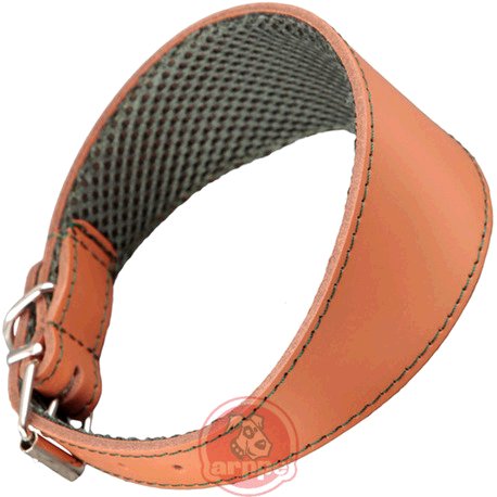 [195376050131] COLLAR GALGO CUERO F3D AMAZONE CAR/VDE