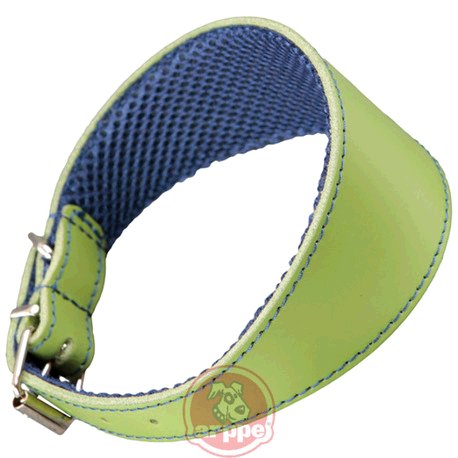 [195376050124] COLLAR GALGO CUERO F3D AMAZONE VDE/AZ