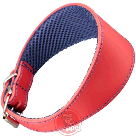 [195376045103] COLLAR GALGO CUERO F3D AMAZONE RJ/AZM