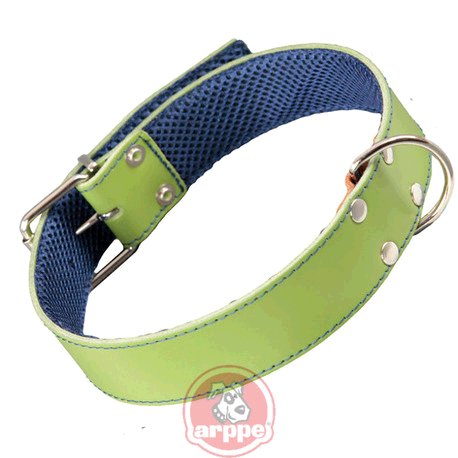 [195323055124] COLLAR CUERO FORRO 3D AMAZONE VDE/AZ