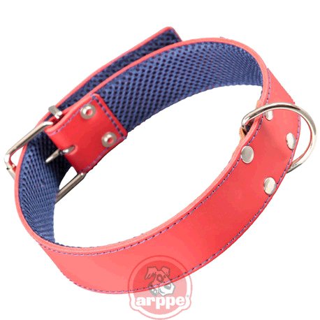 [195324075103] COLLAR CUERO FORRO 3D AMAZONE RJ/AZM