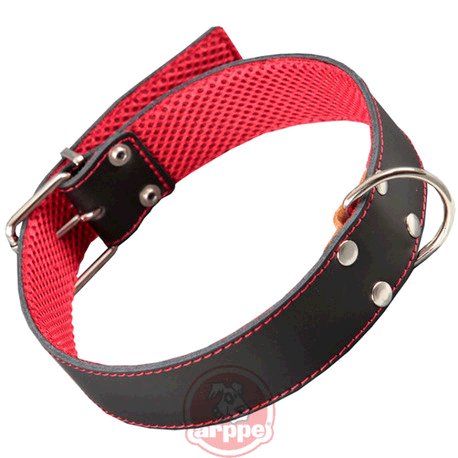 [195324065100] COLLAR CUERO FORRO 3D AMAZONE NG/RJ